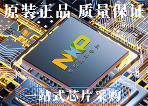 恩智浦MIMXRT1064CVL5B單片機的中文參數、應用領域和功能特點