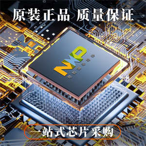 NXP恩智浦LPC1754FBD80K單片機的中文參數、應用領域和功能特點